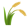 icons8-sheaf-of-rice-96.png